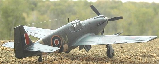 Accurate Miniatures 1/48 Mustang IA